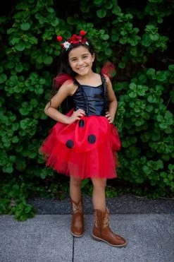 Ladybug Dress & Headband