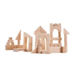 Plantoys 50 Unit Blocks