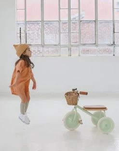 Banwood Trike | Pale Mint -Kids Toys Store BANWOODTRIKE PALEMINT KidsToys a