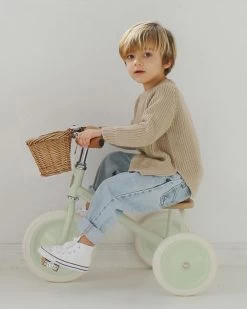 Banwood Trike | Pale Mint