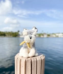 Winstonthe Schnauzer