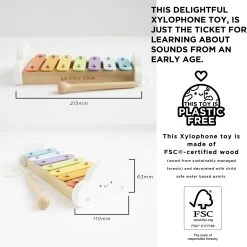 Rainbow Wooden Xylophone -Kids Toys Store PL122 xylophone specifications