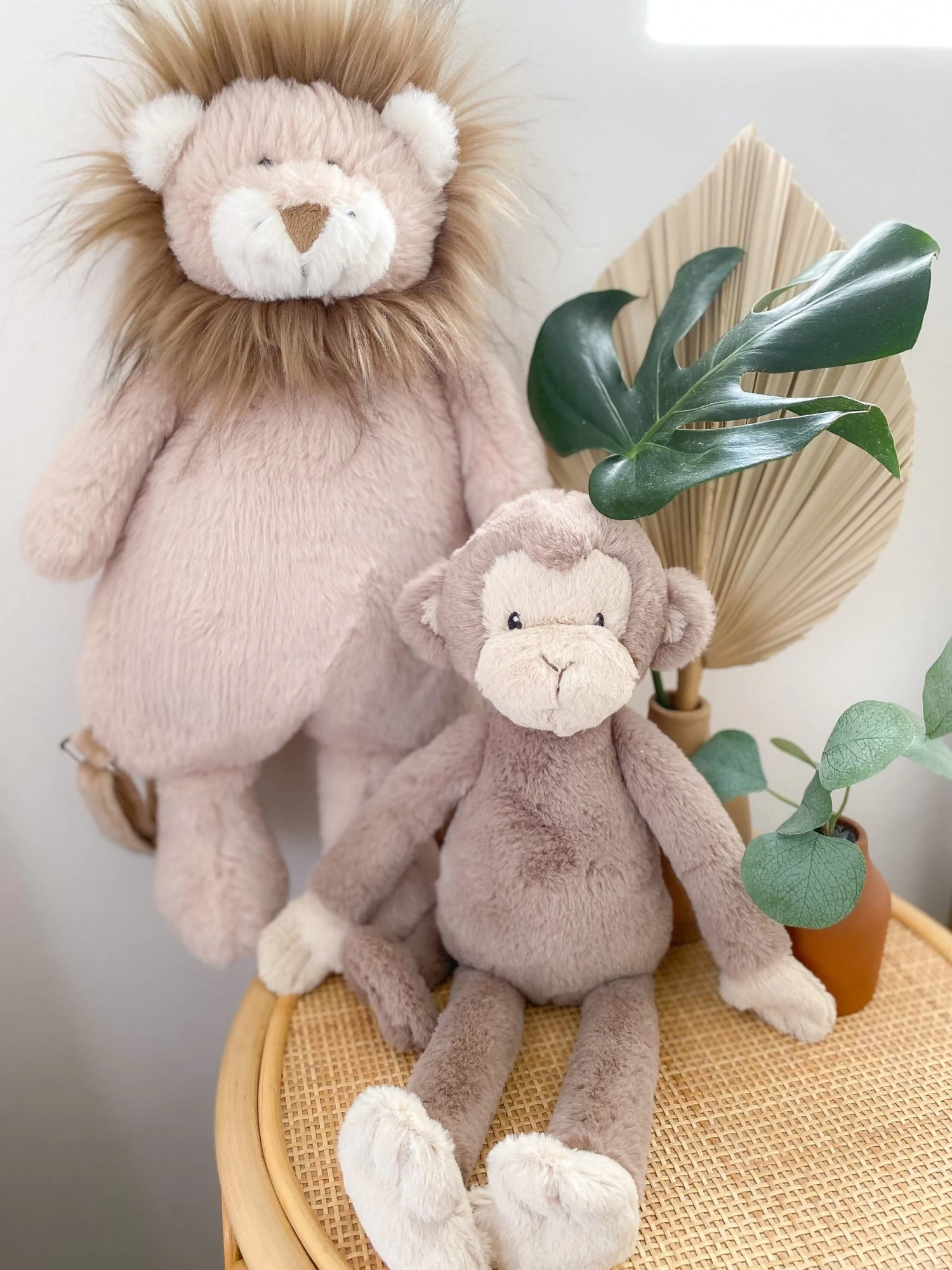 Louie Monkey 5 Louie Monkey - Image 3