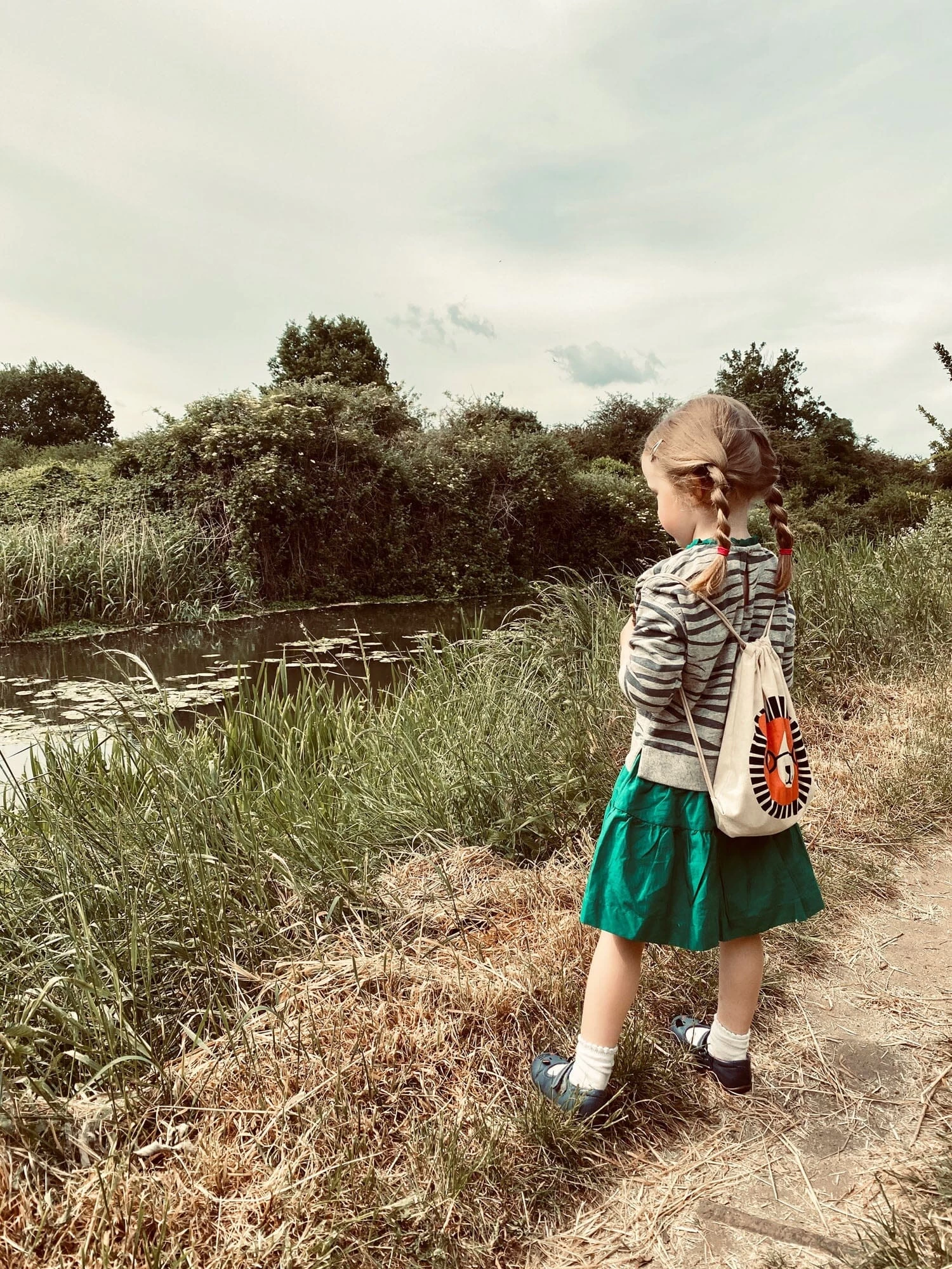 Tender Leaf Toys Safari Adventure 10 Tender Leaf Toys Safari Adventure - Image 8