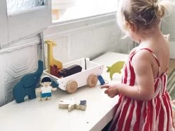 Tender Leaf Toys The Friend Ship -Kids Toys Store TL8469 the friend ship 12 9ef065f4 20bd 4746 9b28 f66e0d6263da