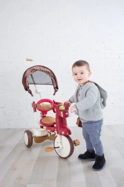 Iimo 3-in-1 Foldable Tricycle With Canopy -Kids Toys Store Webp.net resizeimage 38 80b01c22 e829 482b b5a8 abdc10258595