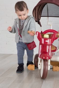 Iimo 3-in-1 Foldable Tricycle With Canopy -Kids Toys Store Webp.net resizeimage 39 49f910ea 8a81 433a a5b9 726a3e18bda6