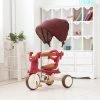 Iimo 3-in-1 Foldable Tricycle With Canopy -Kids Toys Store Webp.net resizeimage e54ce2a7 dfd0 4951 be4e 92899ecd7c9c