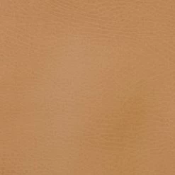 Ball Pit -Kids Toys Store camel swatch 3733d8c0 174e 4835 b6f7 3b63da276afe