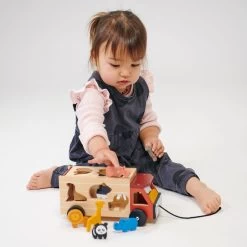 Explorer's Sorting And Stacking Bundle 10 Explorer's Sorting And Stacking Bundle -Kids Toys Store explorers sorting and stacking bundle mt7007 243307