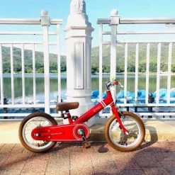 Iimo 2-in-1 Balance Bike 14" (Balance Bike To Pedal Bike) -Kids Toys Store fe54d491219e1655a9b1bcc59bb3888a