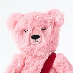 Peony Honey Bear Kin W/Mail Bag & Thinking Of You Hardcover 14 Peony Honey Bear Kin W/Mail Bag & Thinking Of You Hardcover -Kids Toys Store slumberkinsvalentinesday 12