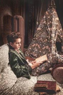 Tent Of Dreams | Strawberry Thief -Kids Toys Store thumbnail 41 53791f91 fed0 4857 950e 5d08ba4a0d79